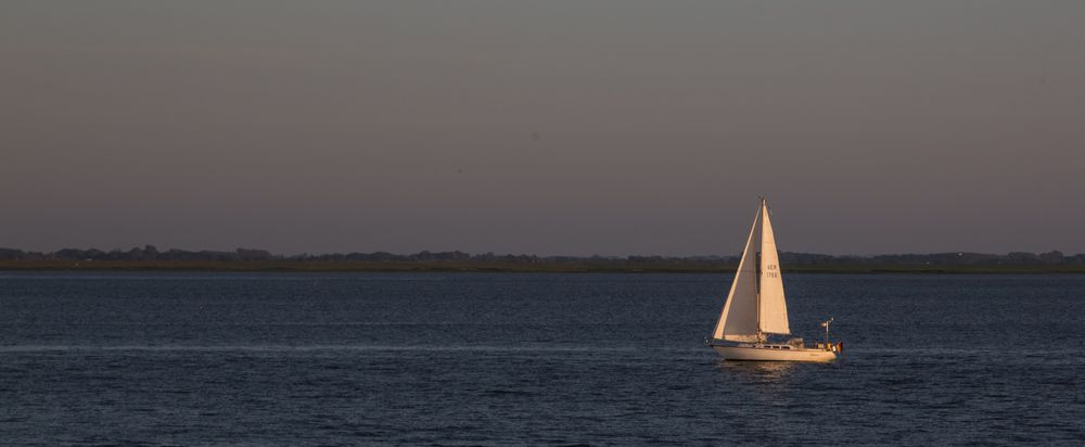 Segeln auf der Elbe