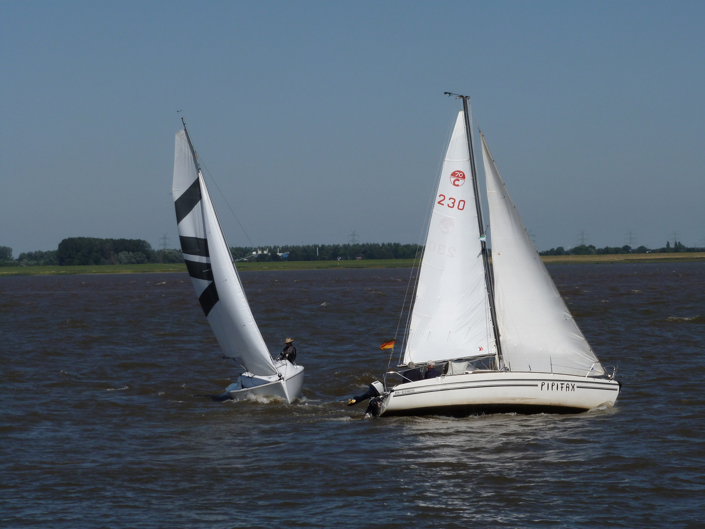 Segeln auf der Elbe