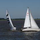 Segeln auf der Elbe