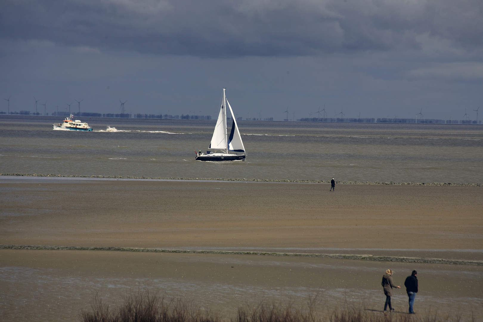 Segeln auf der Elbe