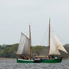 Segeln auf der Schlei