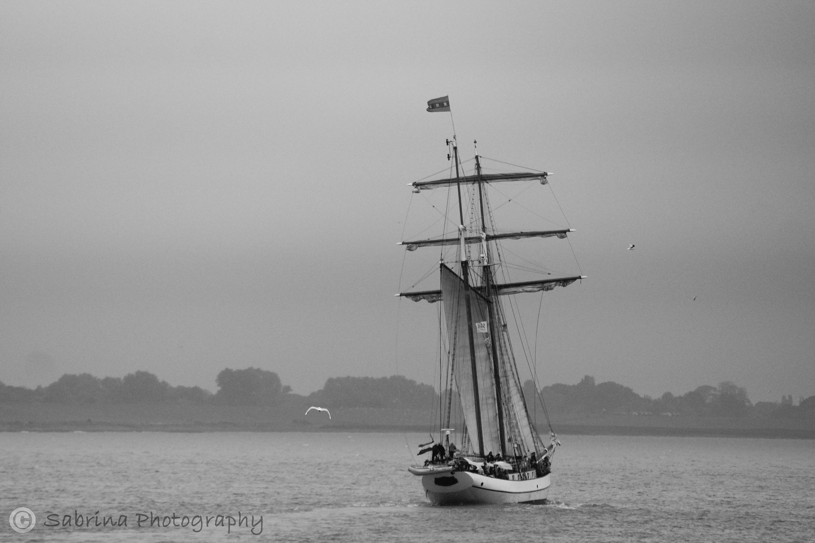 Segeln auf der Weser