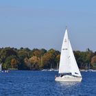 Segeln aufem Wannsee