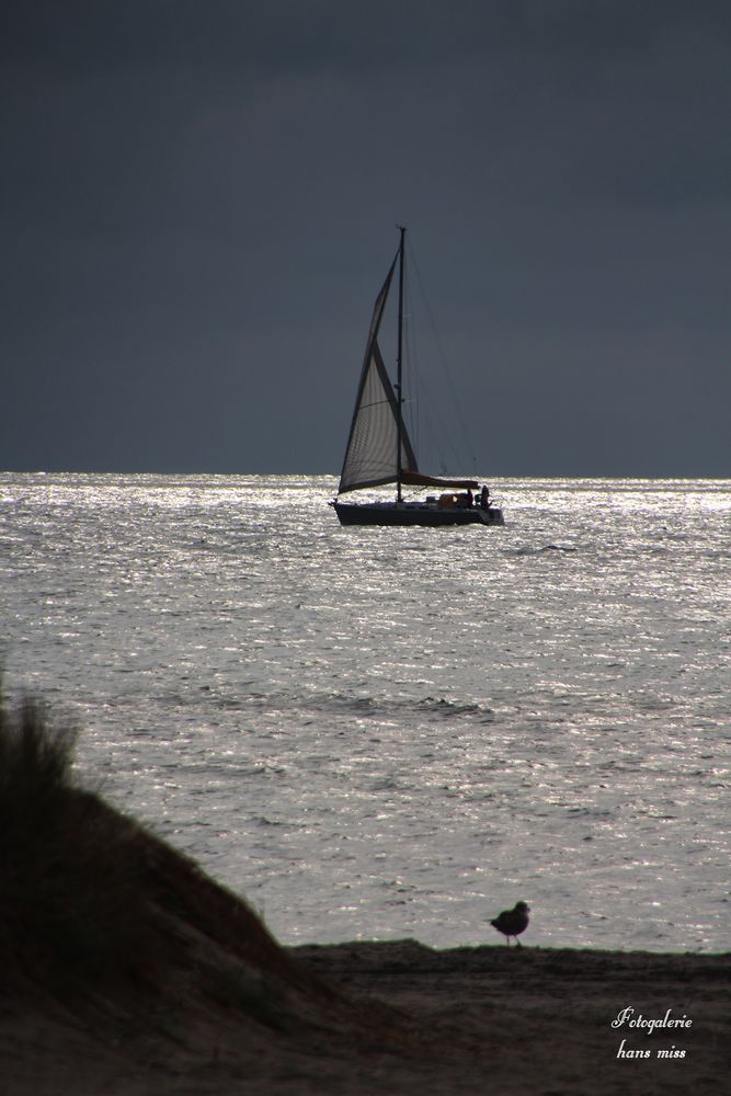 Segeln bei schlechtem Wetter Foto Bild natur Segeln bei schlechtem Wetter Foto Bild natur