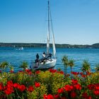 Segeln im Frühling auf dem Bodensee