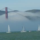 Segeln im Nebel, San Francisco 2014