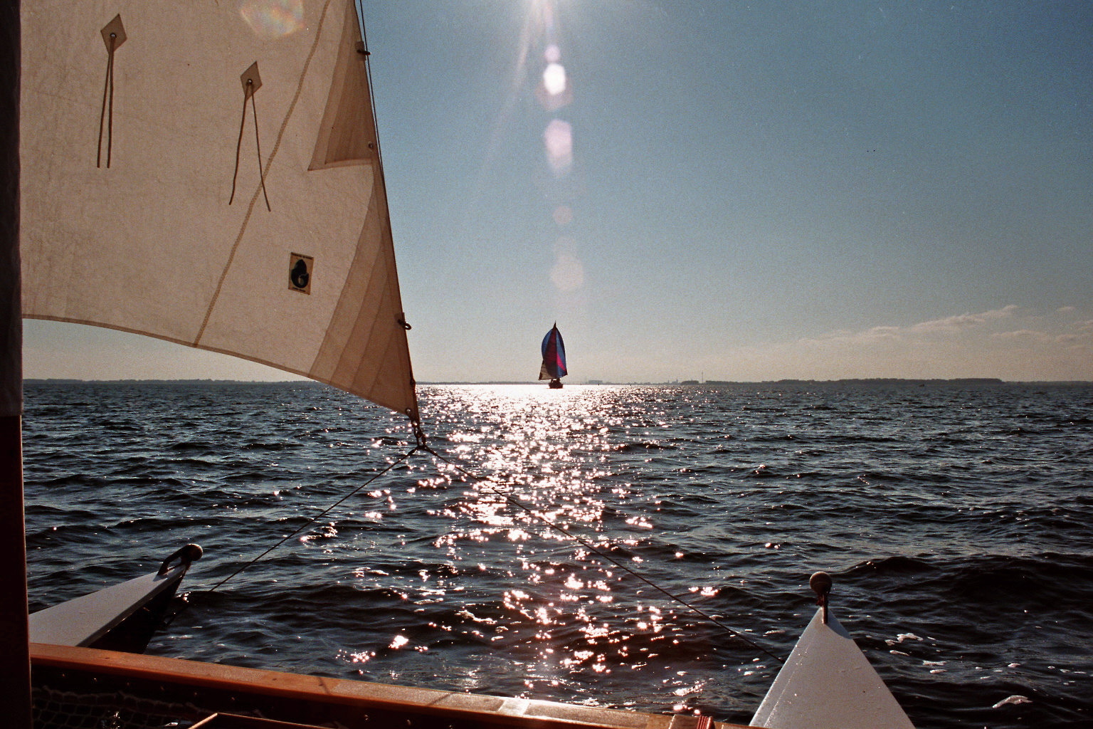 Segeln im Strelasund