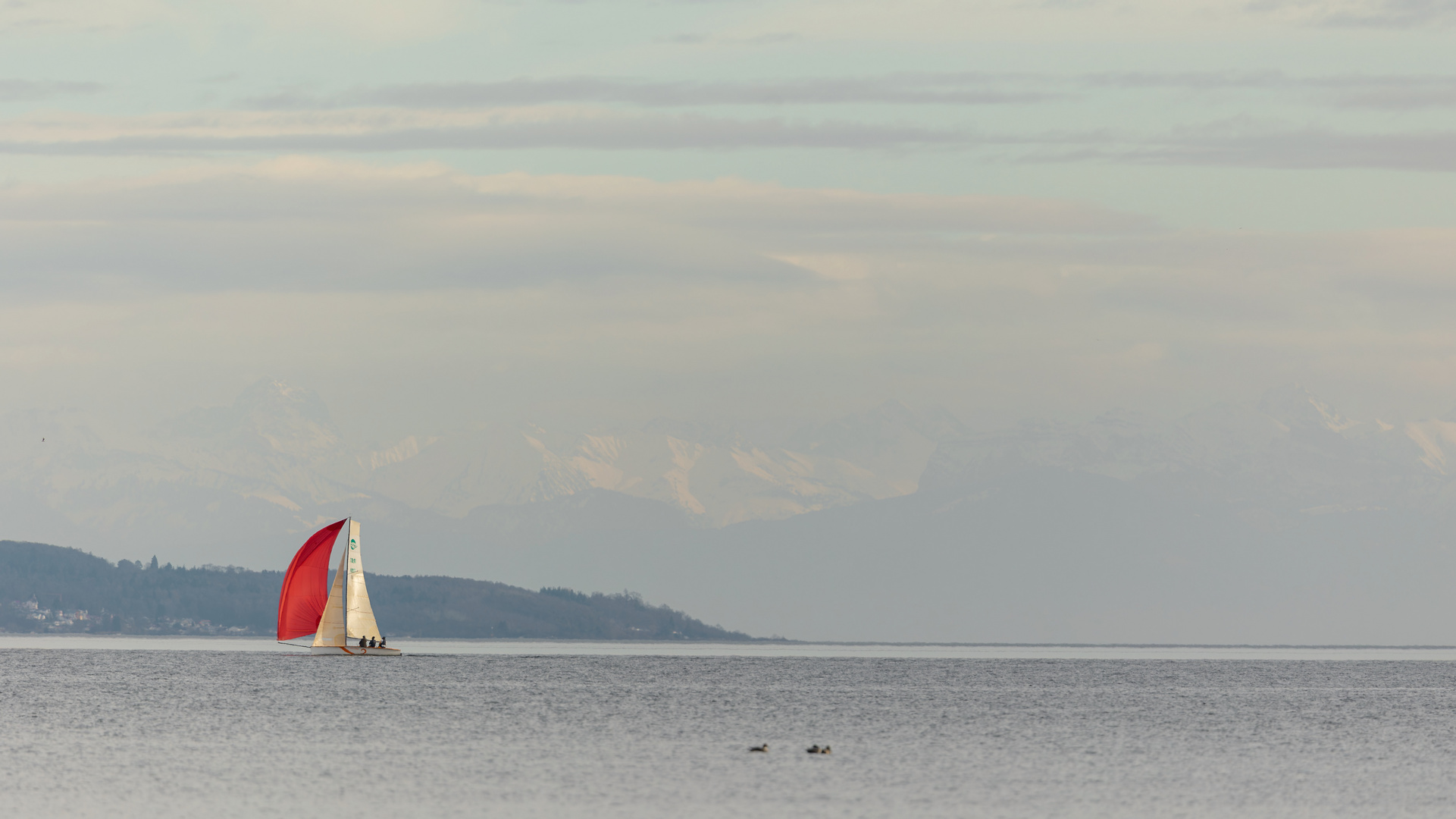 segeln im Winter auf dem Bodensee