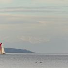 segeln im Winter auf dem Bodensee