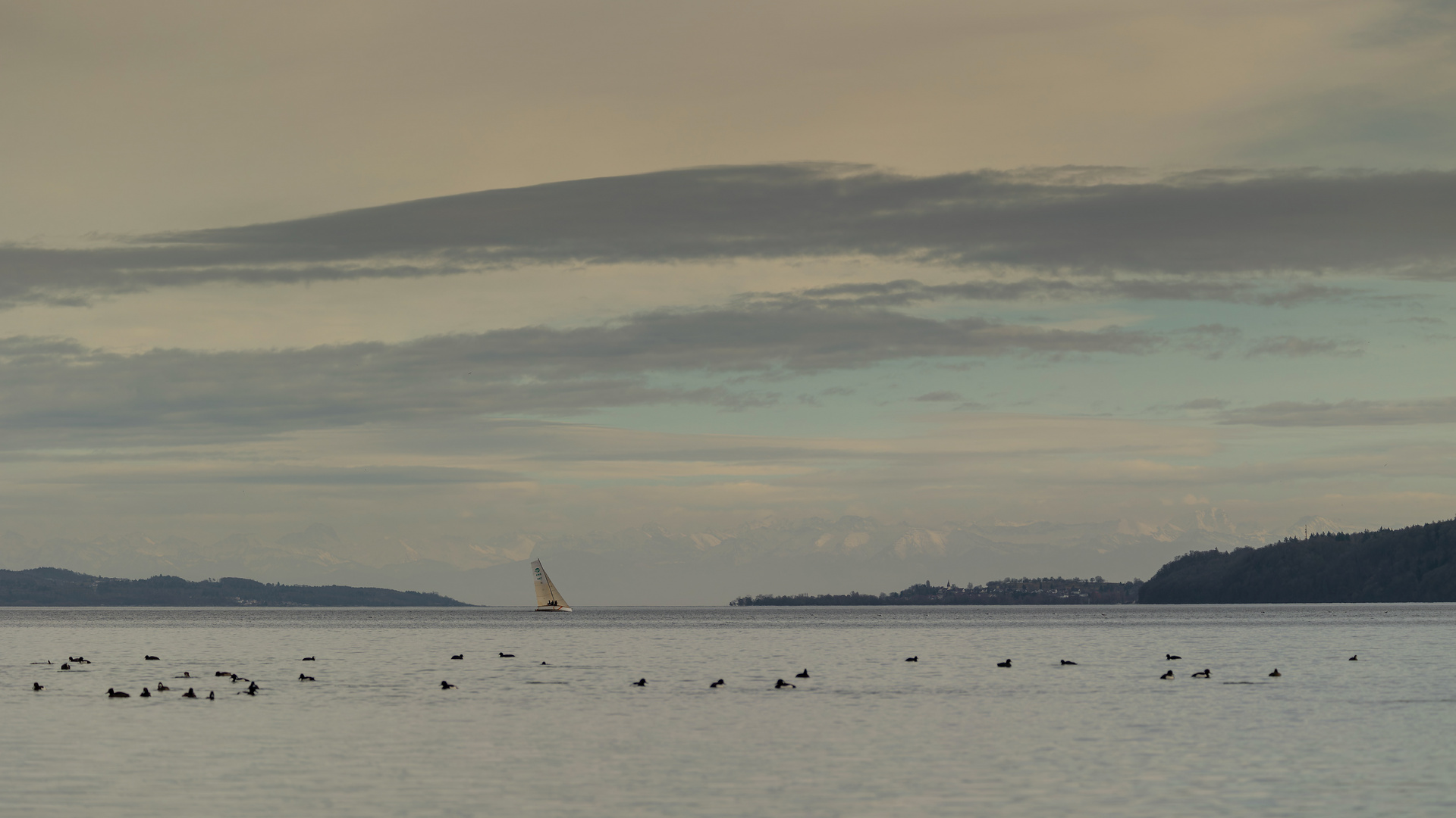 segeln im Winter auf dem Bodensee