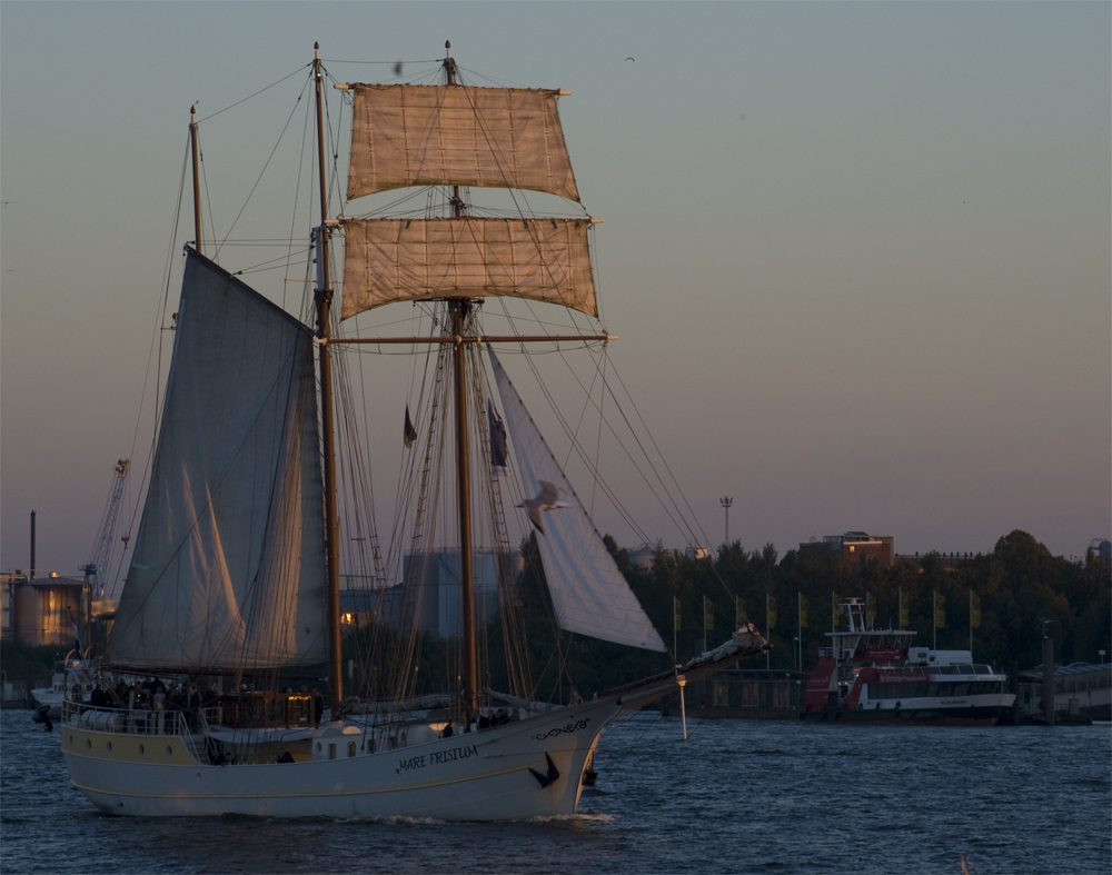 Segeln in der Abendsonne im Hafen (9.10.10)