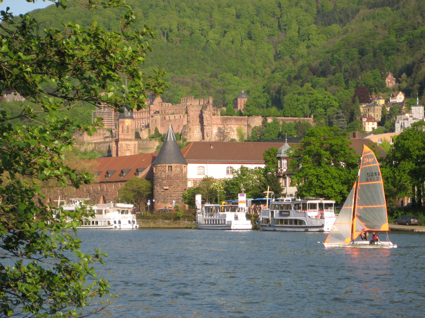 Segeln in Heidelberg