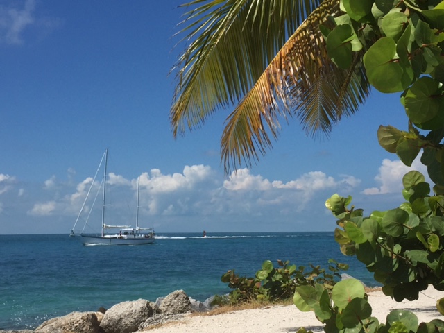 Segeln vor Key-West