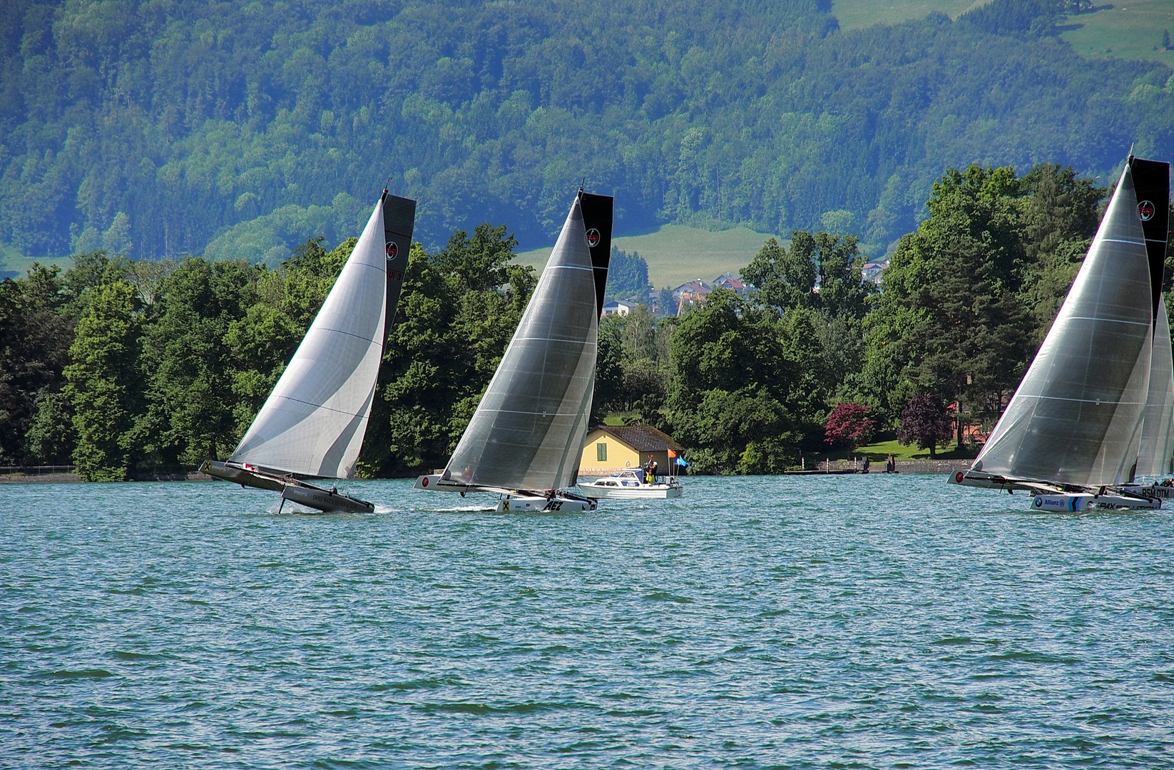 segelregatta