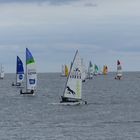 Segelregatta 10/11