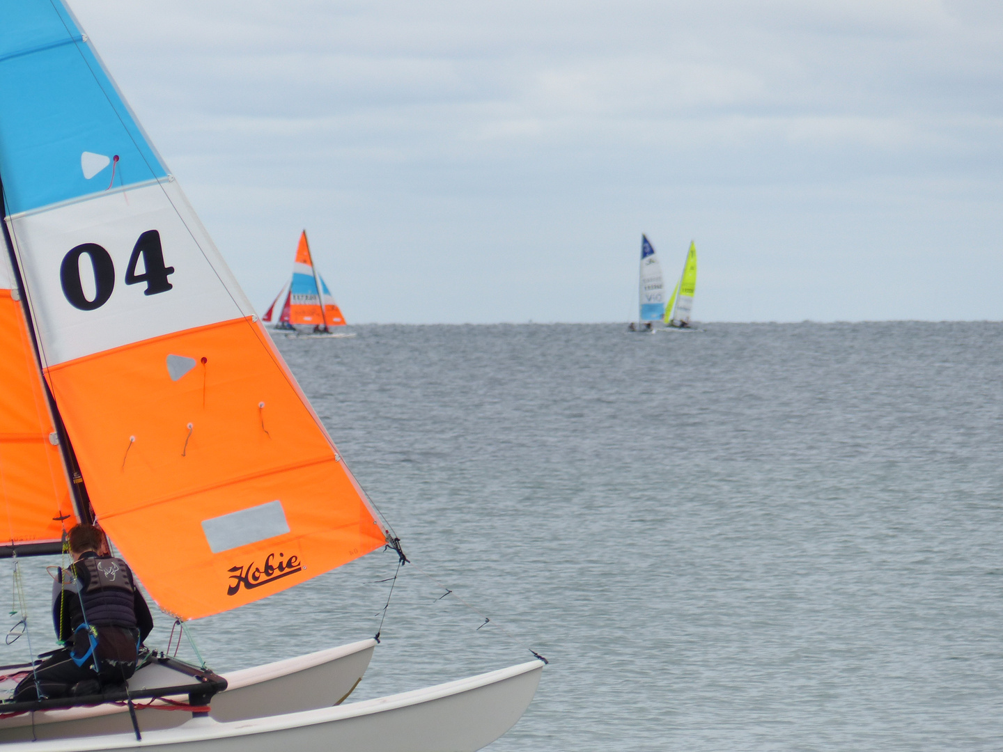 Segelregatta 1/11