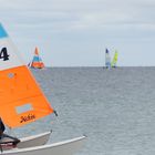 Segelregatta 1/11