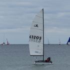 Segelregatta 2/11