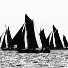 Segelregatta