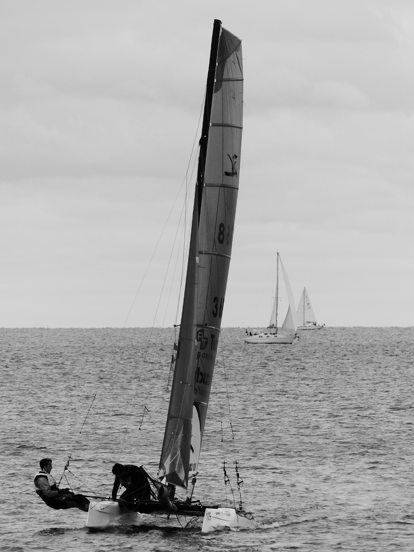 Segelregatta 5/11