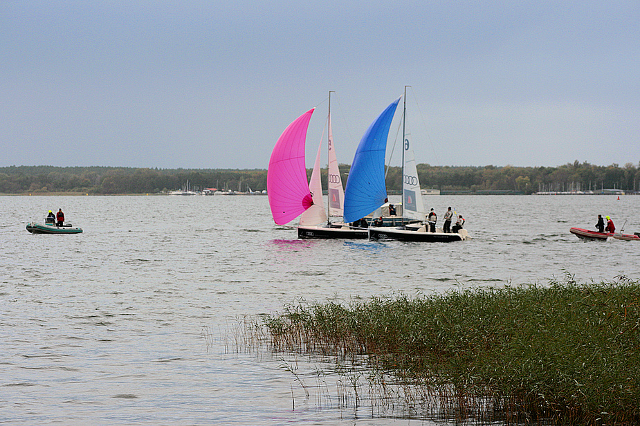 Segelregatta