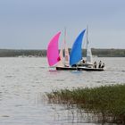 Segelregatta