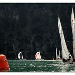 ~~ Segelregatta am Achensee ~~