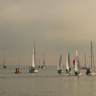 Segelregatta - die Eiserne in Konstanz I