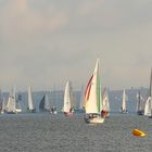 Segelregatta - die Eiserne in Konstanz III