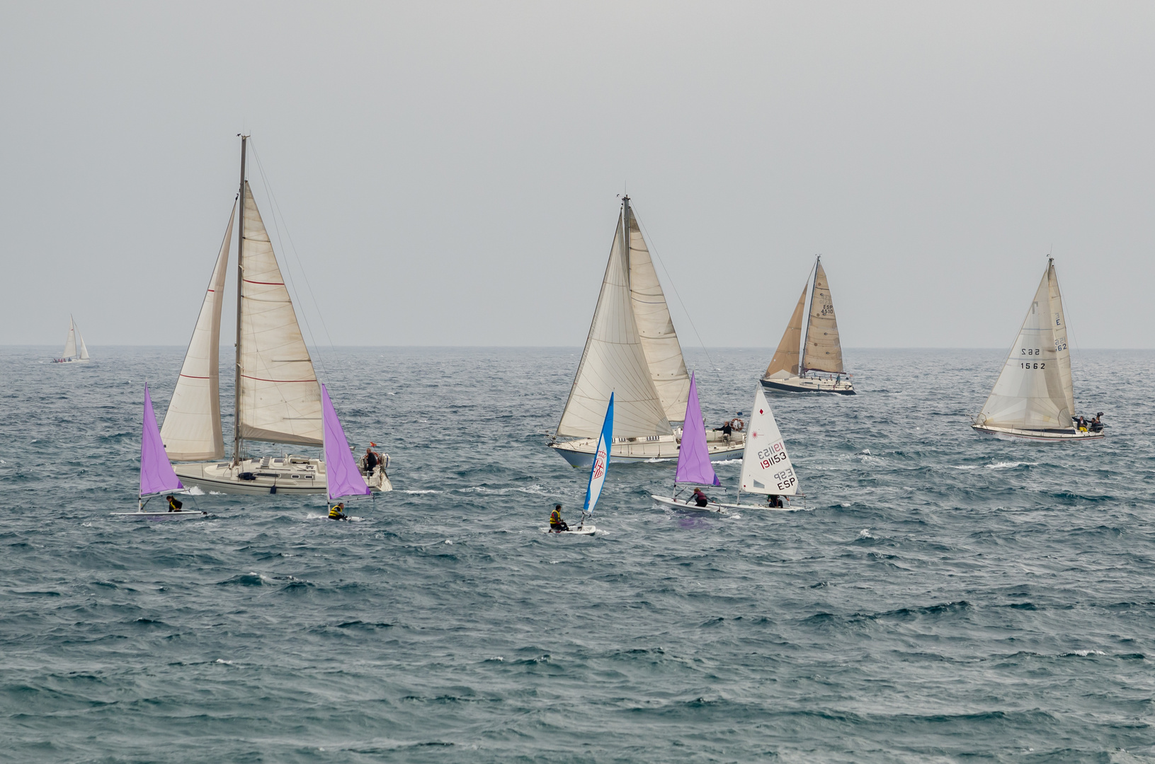 Segelregatta