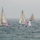 Segelregatta