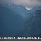 Segelregatta im Traunsee