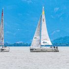 Segelregatta in Langenargen Bodensee