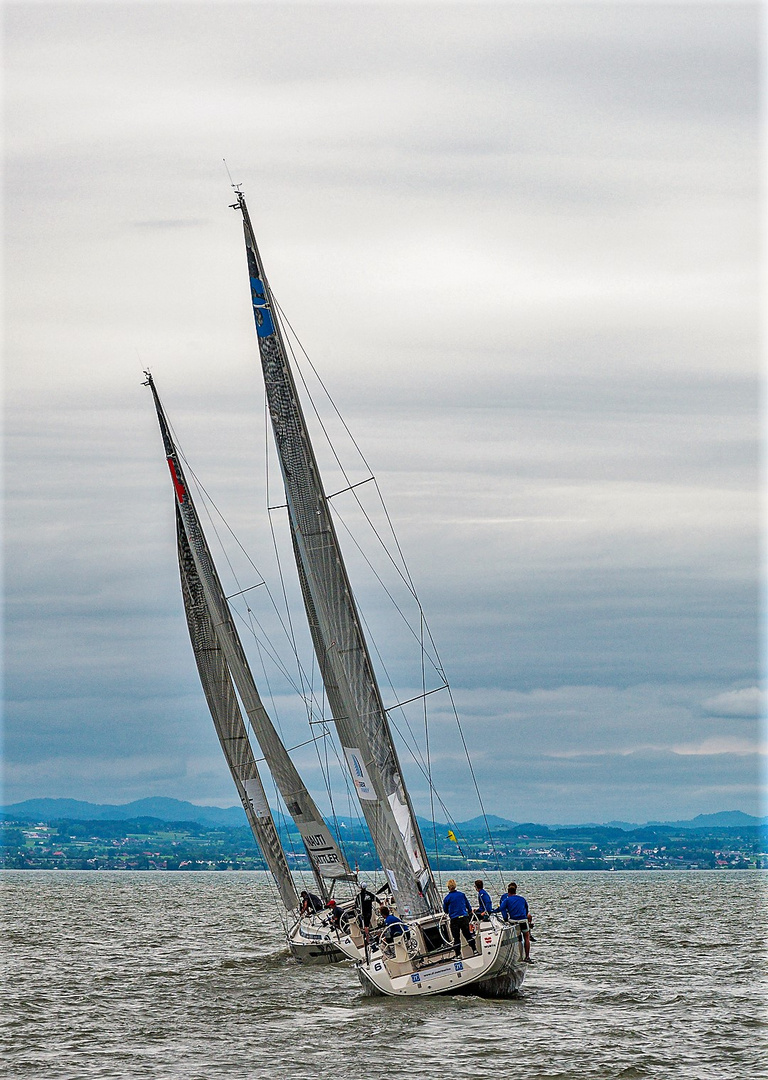 Segelregatta in Langenargen Bodensee