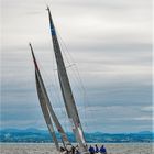 Segelregatta in Langenargen Bodensee