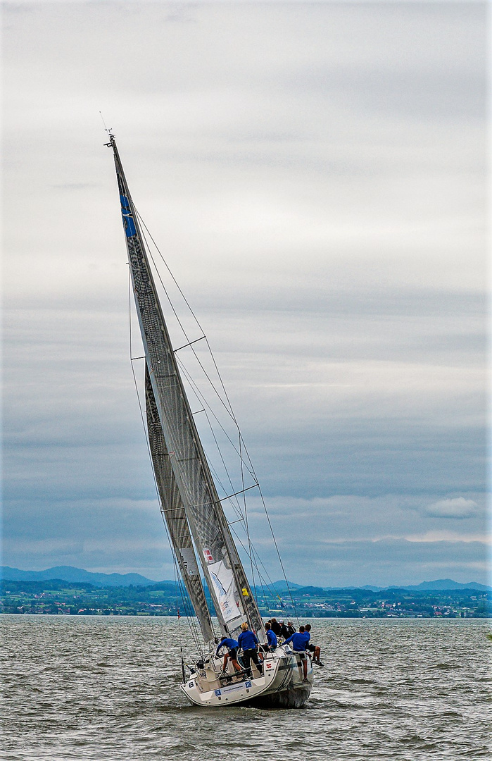 Segelregatta in Langenargen Bodensee