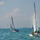 Segelregatta in Lindau