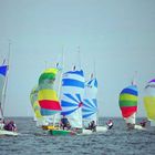 Segelregatta mit Spinaker