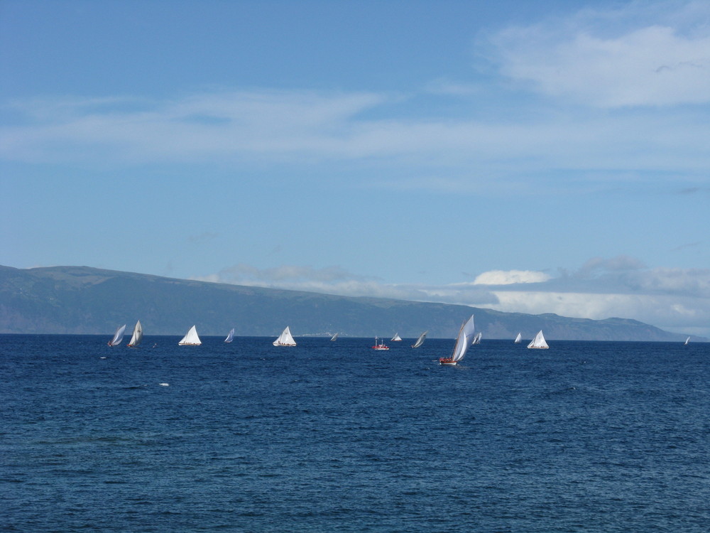 Segelregatta mit Walfängerbooten