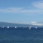 Segelregatta mit Walfängerbooten