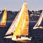 Segelregatta "Rund um Seeland"