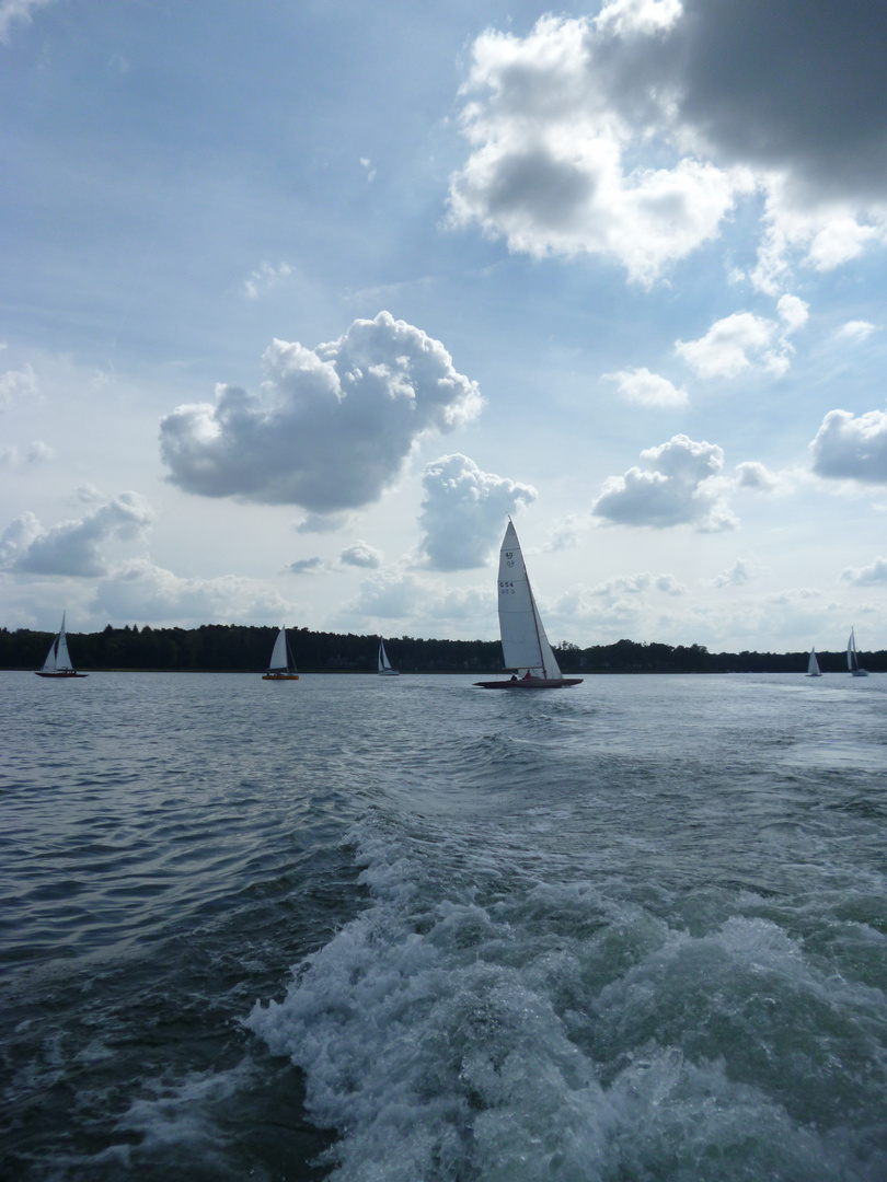 Segelregatta Scharmützelsee