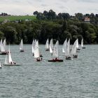 Segelregatte auf dem Bielersee