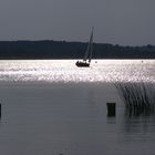 Segelschiff am Abend