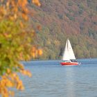 Segelschiff am Baldeneysee