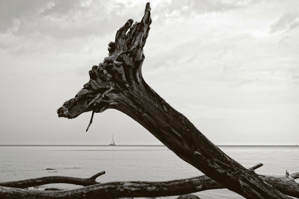 Segelschiff am Horizont