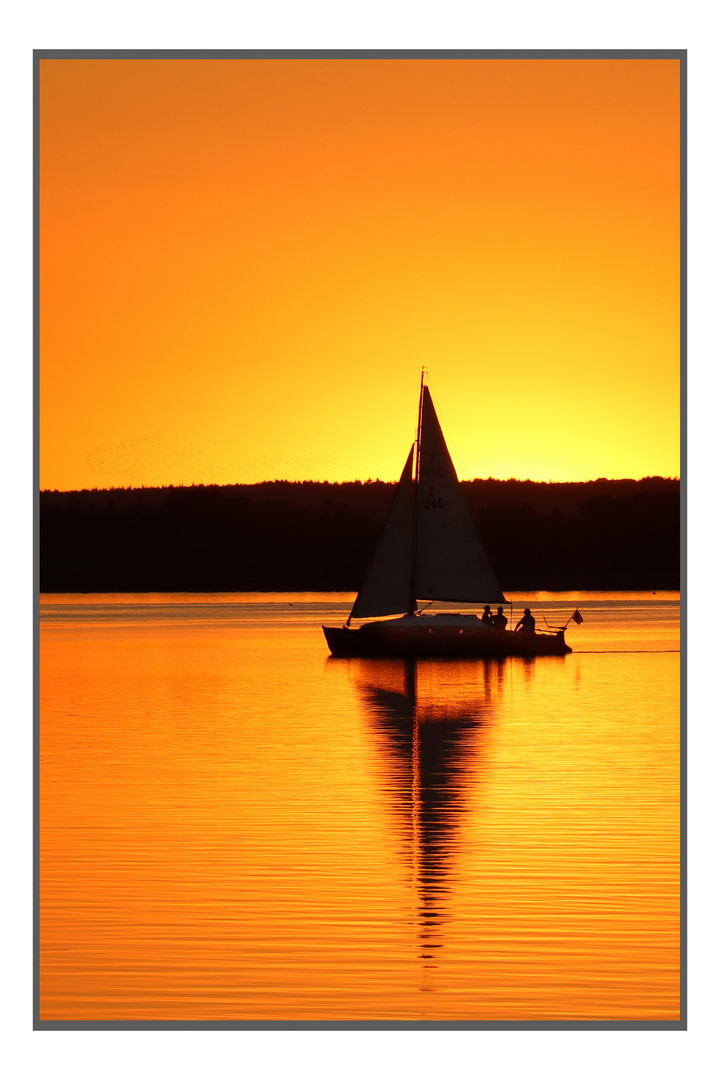 Segelschiff auf dem Dümmer See