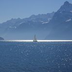 Segelschiff auf den Urner See mit Bergpanorama