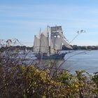 Segelschiff auf der Elbe bei Hamburg