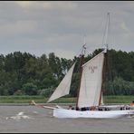 Segelschiff Elbe 5